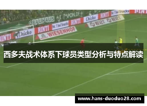 西多夫战术体系下球员类型分析与特点解读